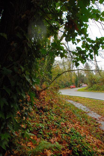 news05.jpg news05.jpg