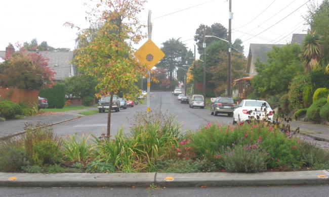 Traffic island.jpg