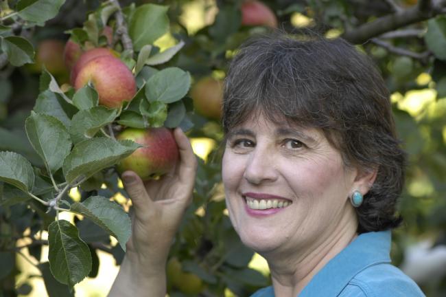 Katy Wilkens 2_0_0_0_0_0.jpg