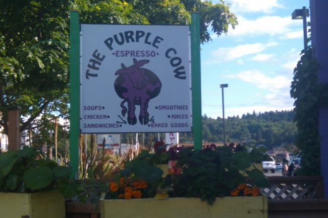 purple cow.jpg