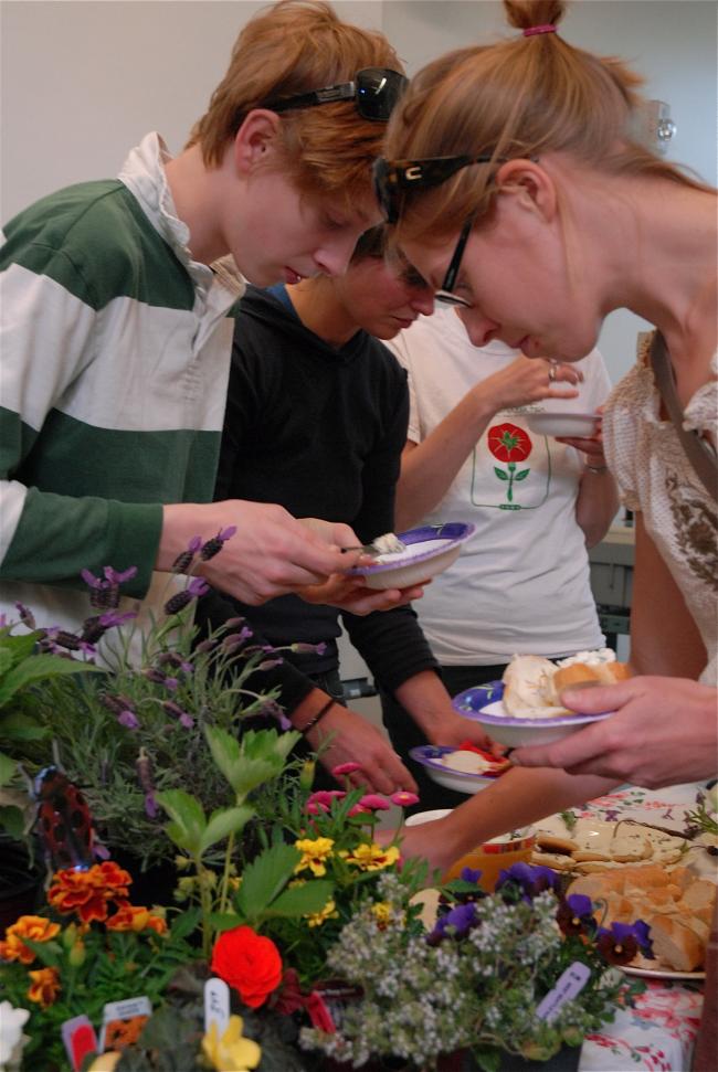 Edible plants fair photo.jpg