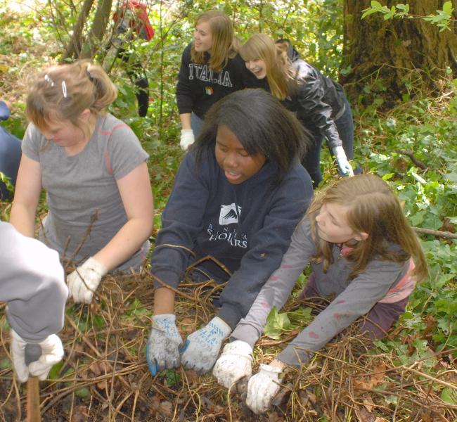 group weeding.jpg