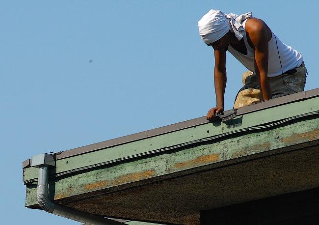 roof painters wild art photo.jpg