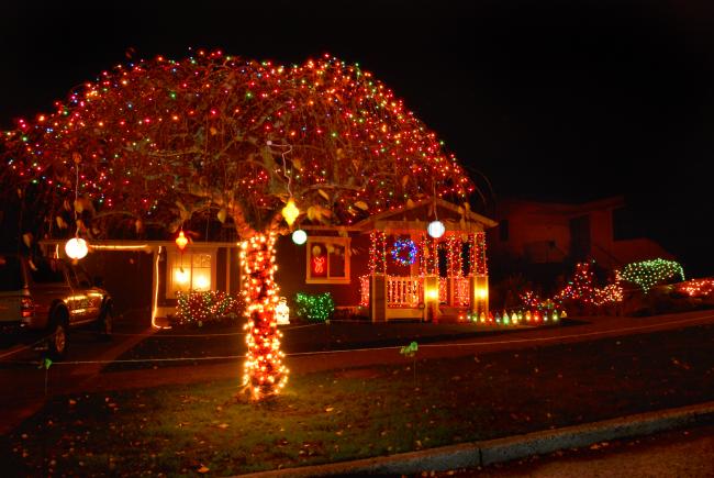 HendryxChristmaslights.jpg