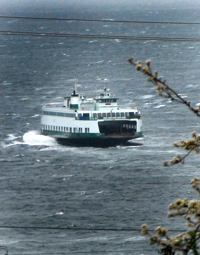 Ferry.jpg