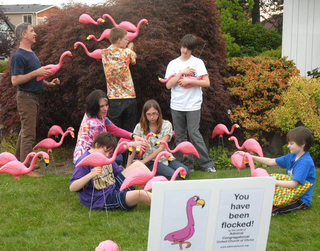 flamingos.jpg