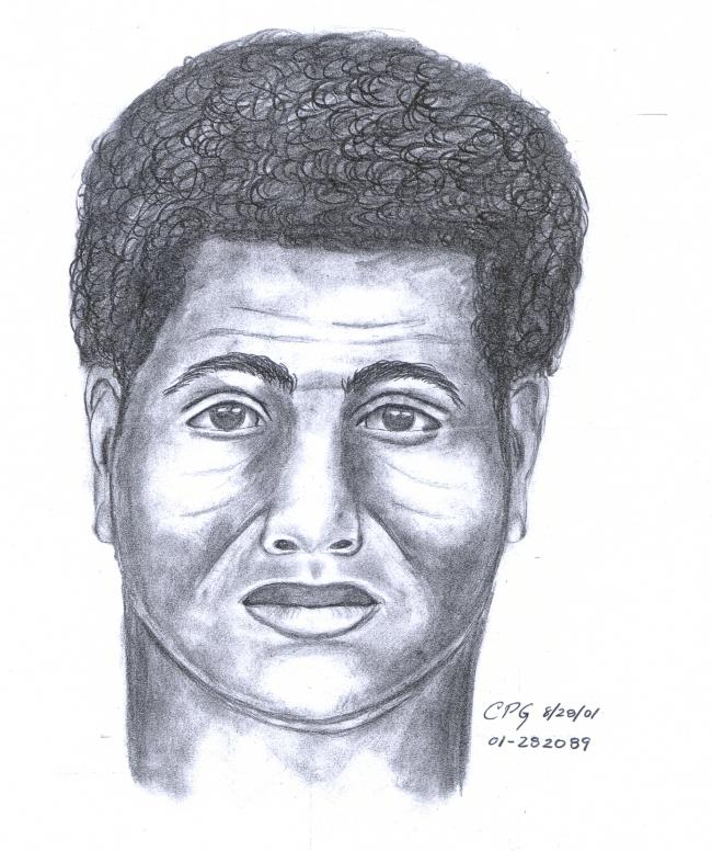 suspect sketch.jpg