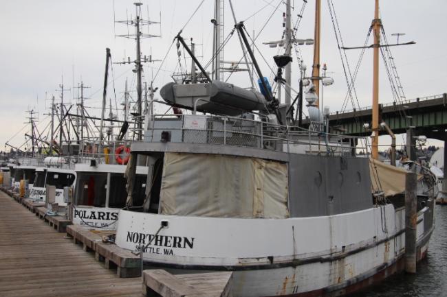 Halibut Schooners