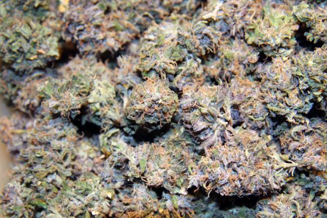 Washington weed